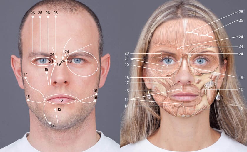 Движение в лицах. FACS Paul Ekman. Facial Action coding System. FACS система кодирования лицевых движений. Facial Action coding System (FACS).